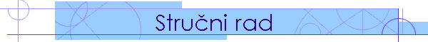 Stručni rad