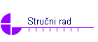 Stručni rad